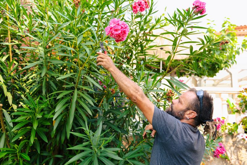 Lilac Plant Trimming